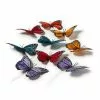 Wholesale 😀 Large Nature Center Butterflies Value Pack by Ashland® 🛒 -Ashland Sale Store 10017012 21