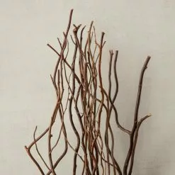 Brand new 🧨 Natural Curly Willow by Ashland® ✨ -Ashland Sale Store 10017457 25