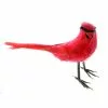 Top 10 ❤️ 24 Pack: Cardinal Bird by Ashland® 🎉 -Ashland Sale Store 10029902