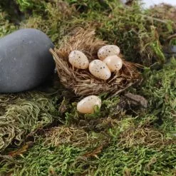 Wholesale 😉 Nature Center Speckled Tan Eggs by Ashland® ✔️ -Ashland Sale Store 10029911 4