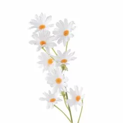 Budget 🌟 White Mini Daisy Spray by Ashland® ✨