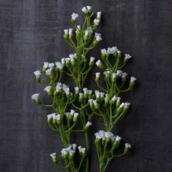 Brand new ✨ Ivory Mini Baby's Breath Spray by Ashland® ✔️ -Ashland Sale Store 10035159 22