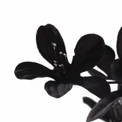 Discount 🧨 Azalea Spray Floral Essentials by Ashland® 🤩 -Ashland Sale Store 10035291 20