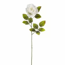 Cheap ✔️ Holland Rose Spray by Ashland® 💯