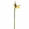 Coupon 👏 12 Pack: Yellow Bird of Paradise Stem by Ashland® 👏 -Ashland Sale Store 10066898 1
