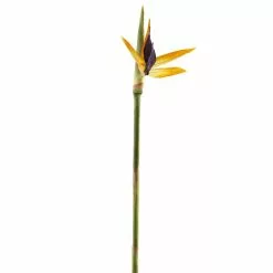 Top 10 ❤️ Tropical Bird of Paradise Stem by Ashland® ✔️ -Ashland Sale Store 10066898