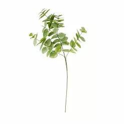 Hot Sale 🤩 Eucalyptus Branch by Ashland® 🛒 -Ashland Sale Store 10067587 30