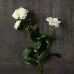 Buy 💯 Gardenia Spray by Ashland® ⭐ -Ashland Sale Store 10107972 25