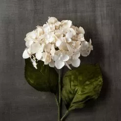 Brand new ✨ Pearl Hydrangea Stem by Ashland® 🤩 -Ashland Sale Store 10110873 25