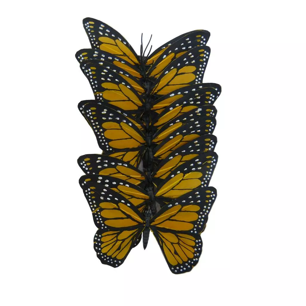 Best reviews of 🤩 8 Packs: 8 ct. (64 total) Assorted 8.6" Monarch Butterfly Pack by Ashland® 🔥 4 Best reviews of 🤩 8 Packs: 8 ct. (64 total) Assorted 8.6" Monarch Butterfly Pack by Ashland® 🔥 - Image 2