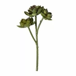 Hot Sale ⭐ Ashland® Succulent Pick 🔥