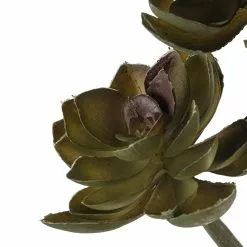 Hot Sale ⭐ Ashland® Succulent Pick 🔥 -Ashland Sale Store 10128870 20