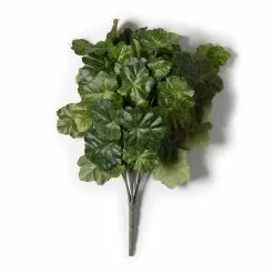 Outlet ❤️ Coral Bell Bush by Ashland® 😉