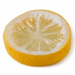 Best Sale ✨ Assorted Fruit Slice Décor Accent by Ashland® 🥰 -Ashland Sale Store 10131162 21