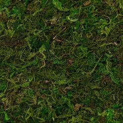 Coupon ✨ Moss Mat by Ashland® 👍 -Ashland Sale Store 10135027 22