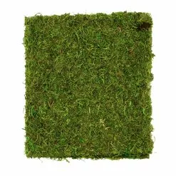 Coupon ✨ Moss Mat by Ashland® 👍 -Ashland Sale Store 10135027 3