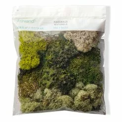 Discount 👍 Moss Variety Pack by Ashland® 🧨