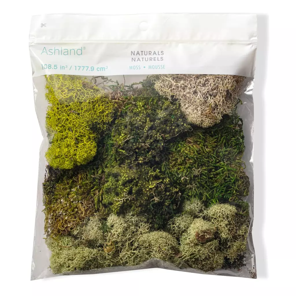 Discount ๐ Moss Variety Pack by Ashland® ๐งจ 3 Discount ๐ Moss Variety Pack by Ashland® ๐งจ