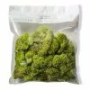 Brand new 🤩 Ashland® Reindeer Moss ✨ -Ashland Sale Store 10135038 20