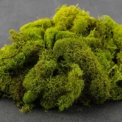 Brand new 🤩 Ashland® Reindeer Moss ✨ -Ashland Sale Store 10135038 21