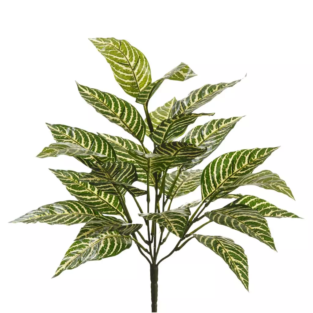 New 🧨 Zebra Bush Classic Greenery by Ashland® ❤️ 3 New 🧨 Zebra Bush Classic Greenery by Ashland® ❤️