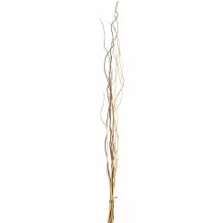 Hot Sale 💯 6 Pack: Mixed Natural Willow Bundle by Ashland® ✔️