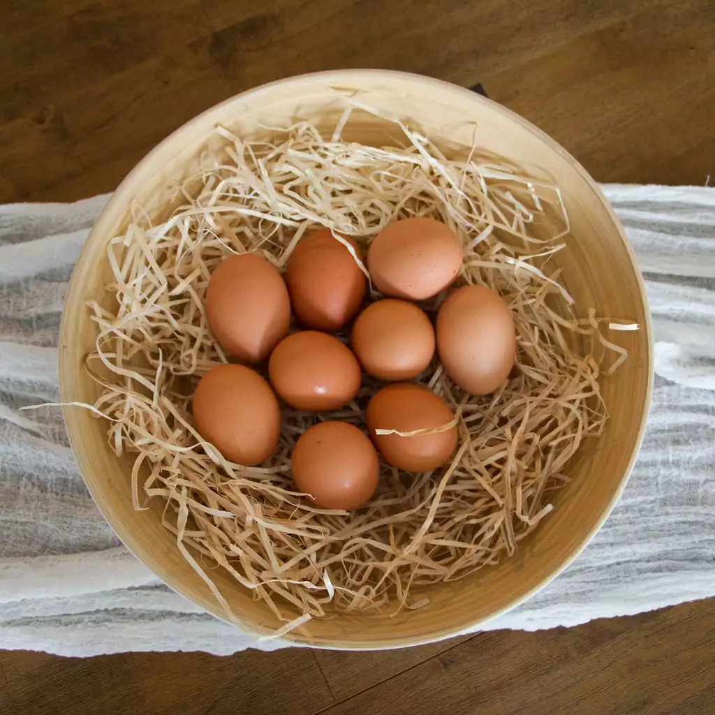 Promo 🎁 Ashland® Excelsior—Natural 👍 4 Promo 🎁 Ashland® Excelsior—Natural 👍 - Image 2