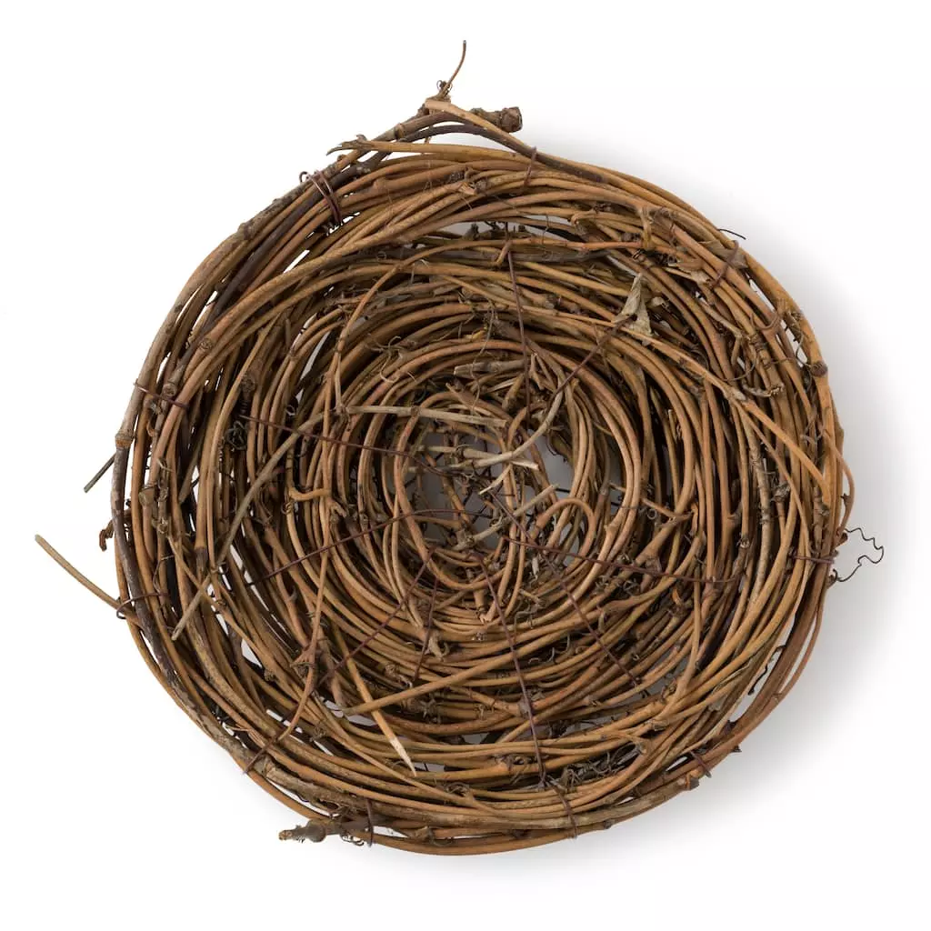 Top 10 ✔️ 8" Bird Nest by Ashland® 🎁 4 Top 10 ✔️ 8" Bird Nest by Ashland® 🎁 - Image 2