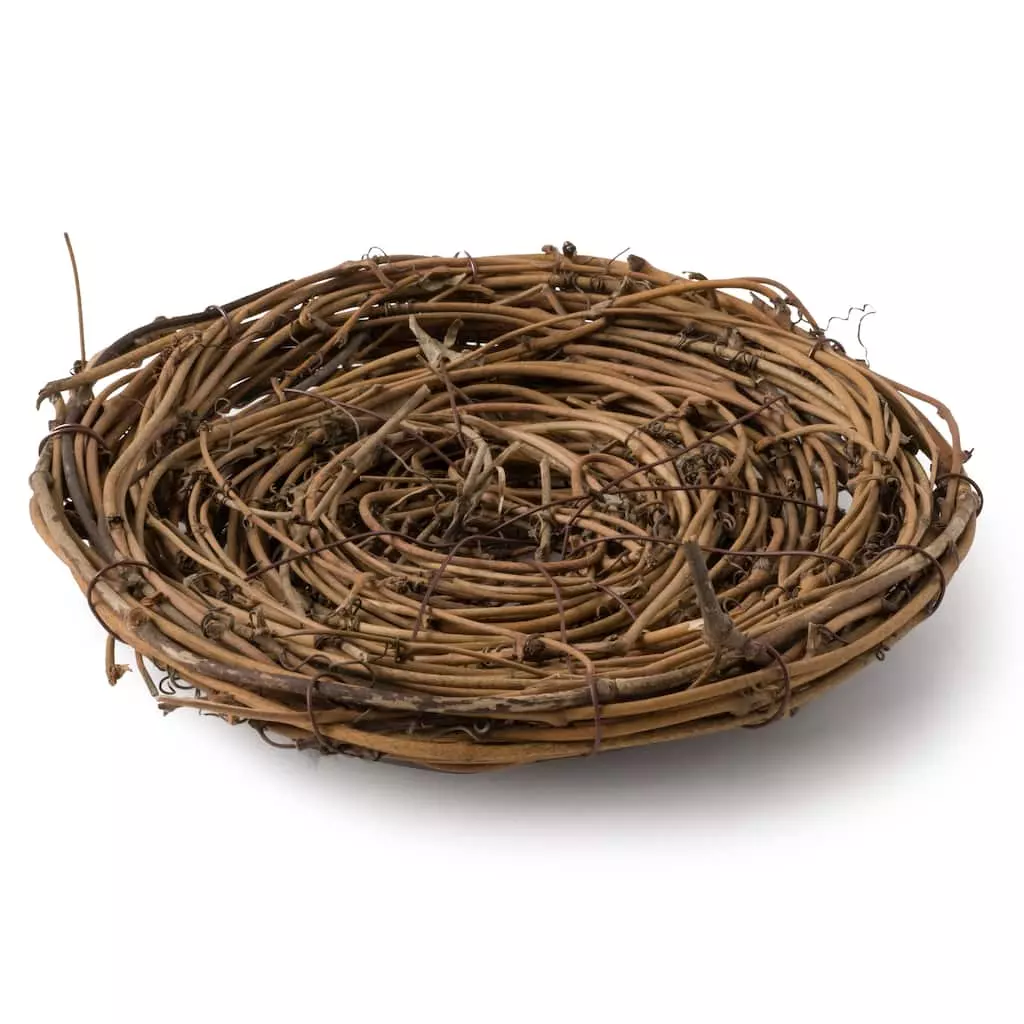 Top 10 ✔️ 8" Bird Nest by Ashland® 🎁 5 Top 10 ✔️ 8" Bird Nest by Ashland® 🎁 - Image 3