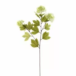 Cheapest 🥰 Snowball Spray Floral Essentials by Ashland® 🧨 9 Cheapest 🥰 Snowball Spray Floral Essentials by Ashland® 🧨 -Ashland Sale Store 10174048 1