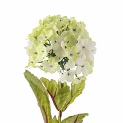Cheapest 🥰 Snowball Spray Floral Essentials by Ashland® 🧨 8 Cheapest 🥰 Snowball Spray Floral Essentials by Ashland® 🧨 -Ashland Sale Store 10174048 20