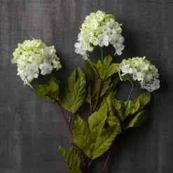 Cheapest 🥰 Snowball Spray Floral Essentials by Ashland® 🧨 7 Cheapest 🥰 Snowball Spray Floral Essentials by Ashland® 🧨 -Ashland Sale Store 10174048 25