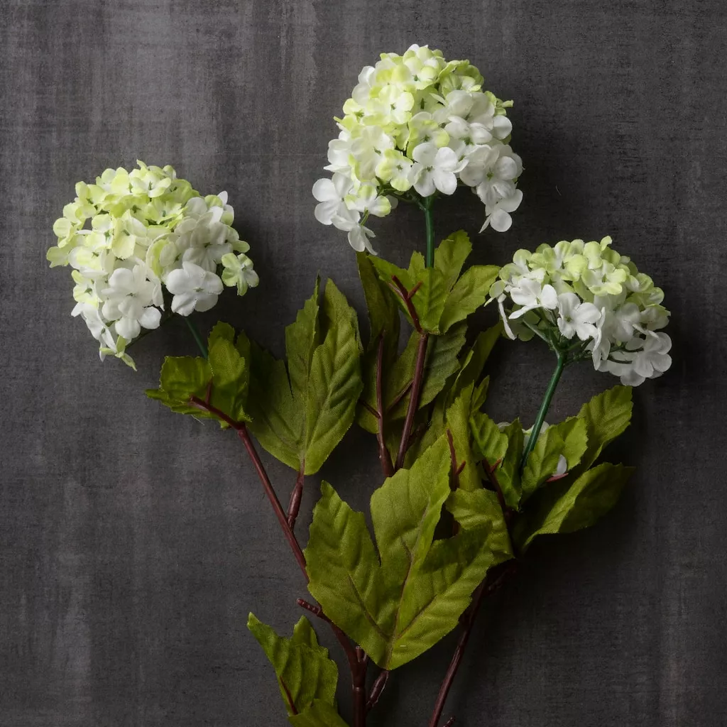 Cheapest 🥰 Snowball Spray Floral Essentials by Ashland® 🧨 4 Cheapest 🥰 Snowball Spray Floral Essentials by Ashland® 🧨 - Image 2