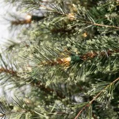 Best reviews of ✨ 7.5ft. Pre-Lit Quick Set™ Jasper Artificial 🌟 Christmas Tree, Clear Lights by Ashland® ✔️ 14 Best reviews of ✨ 7.5ft. Pre-Lit Quick Set™ Jasper Artificial 🌟 Christmas Tree, Clear Lights by Ashland® ✔️ -Ashland Sale Store 10191054 12