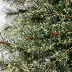 Best reviews of ✨ 7.5ft. Pre-Lit Quick Set™ Jasper Artificial 🌟 Christmas Tree, Clear Lights by Ashland® ✔️ 15 Best reviews of ✨ 7.5ft. Pre-Lit Quick Set™ Jasper Artificial 🌟 Christmas Tree, Clear Lights by Ashland® ✔️ -Ashland Sale Store 10191054 13