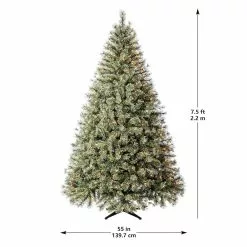 Best reviews of ✨ 7.5ft. Pre-Lit Quick Set™ Jasper Artificial 🌟 Christmas Tree, Clear Lights by Ashland® ✔️ 16 Best reviews of ✨ 7.5ft. Pre-Lit Quick Set™ Jasper Artificial 🌟 Christmas Tree, Clear Lights by Ashland® ✔️ -Ashland Sale Store 10191054 14