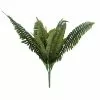 Wholesale 🤩 Boston Fern Bush Fern Collection by Ashland® 🔥 2 Wholesale 🤩 Boston Fern Bush Fern Collection by Ashland® 🔥 -Ashland Sale Store 10194885 1
