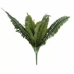 Wholesale 🤩 Boston Fern Bush Fern Collection by Ashland® 🔥