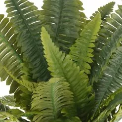 Wholesale 🤩 Boston Fern Bush Fern Collection by Ashland® 🔥 -Ashland Sale Store 10194885 2