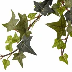 Top 10 😀 Star Ivy Bush by Ashland® 🛒 -Ashland Sale Store 10194917 20