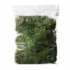 Top 10 🔔 Preserved Forest Moss by Ashland® 🔔
