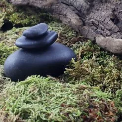 Top 10 🔔 Preserved Forest Moss by Ashland® 🔔 -Ashland Sale Store 10204602 3