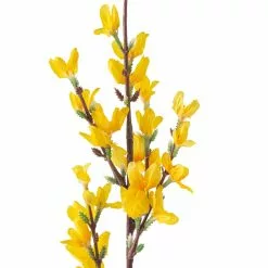 Best Pirce 🔥 Forsythia Branch Floral Essentials by Ashland® ⌛ -Ashland Sale Store 10205308 20