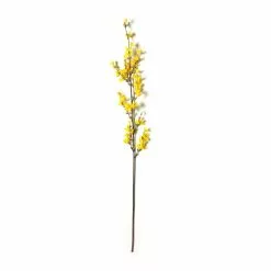 Best Pirce 🔥 Forsythia Branch Floral Essentials by Ashland® ⌛