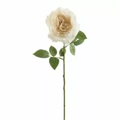 Cheap 💯 White Sophia Rose Stem by Ashland® 💯
