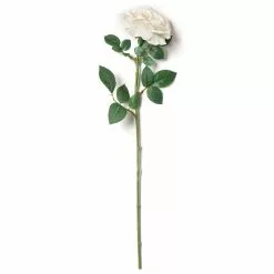 Cheap 💯 White Sophia Rose Stem by Ashland® 💯 -Ashland Sale Store 10213470 21