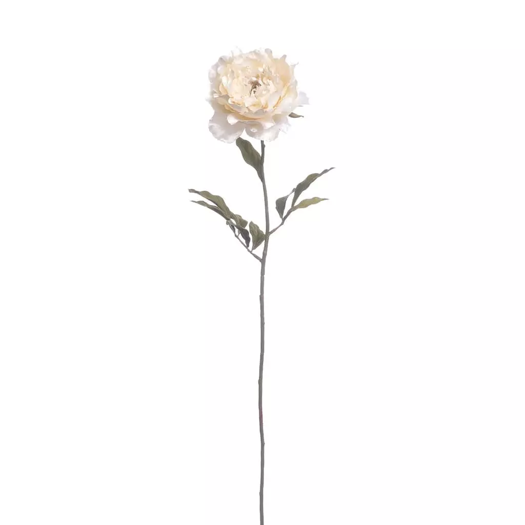 Cheap ⭐ 12 Pack: Cream Pearled Peony Stem by Ashland® 🥰 3 Cheap ⭐ 12 Pack: Cream Pearled Peony Stem by Ashland® 🥰