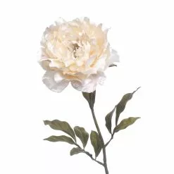 Cheap ⭐ 12 Pack: Cream Pearled Peony Stem by Ashland® 🥰 9 Cheap ⭐ 12 Pack: Cream Pearled Peony Stem by Ashland® 🥰 -Ashland Sale Store 10213485 2 1
