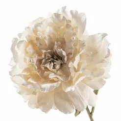 Top 10 ✨ Cream Peony Stem with Pearl by Ashland® ✔️ -Ashland Sale Store 10213485 20
