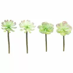 Budget ⌛ 12 Pack: Assorted Red Tipped Succulent Pick by Ashland® ⭐